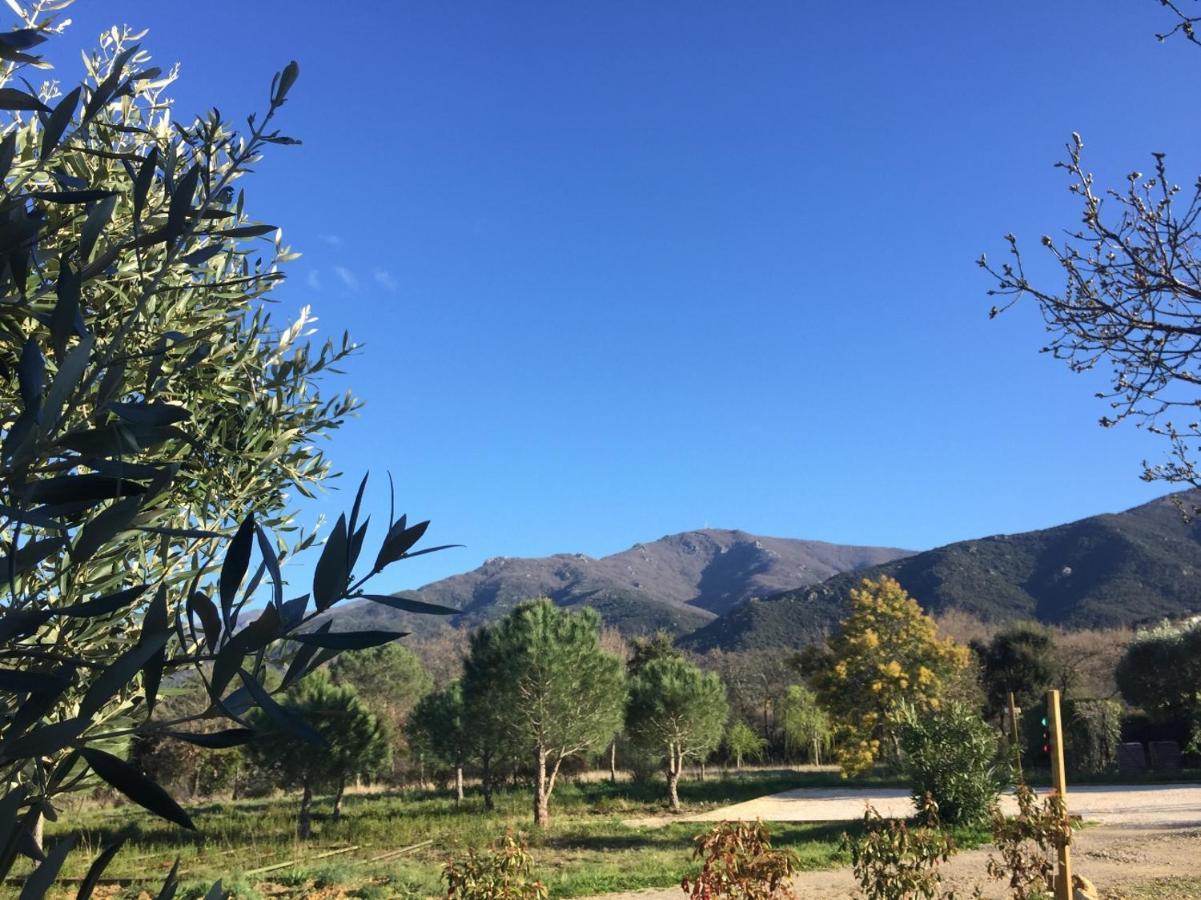 Domaine Pedra Llampada Gites Montagne Villelongue-dels-Monts Luaran gambar
