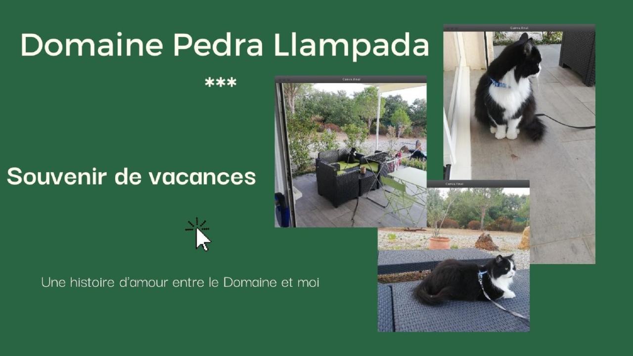 Domaine Pedra Llampada Gites Montagne Villelongue-dels-Monts Luaran gambar