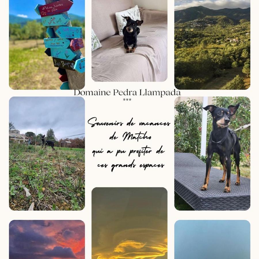 Domaine Pedra Llampada Gites Montagne Villelongue-dels-Monts Luaran gambar